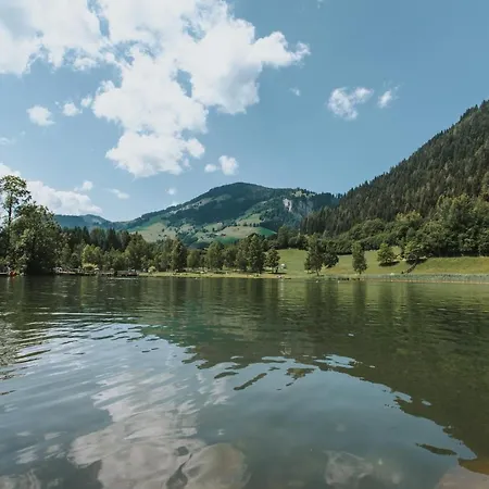 Appartement Alpha Schwarzach im Pongau