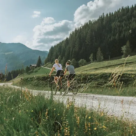 Alpha Schwarzach im Pongau