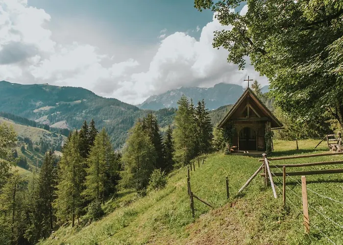 Alpha شقة شفارتساخ إم بونغاو